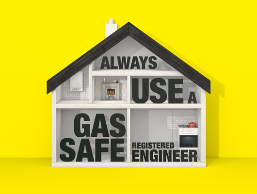 Gas Safe Registered Engineer